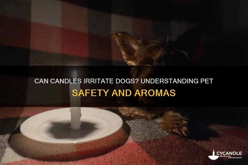 can candles bother dogs