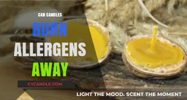 Can Candles Purify Air by Burning Away Allergens? Discover the Truth