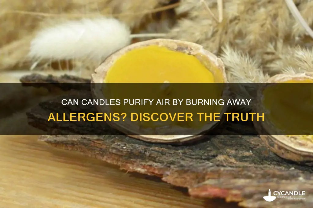 can candles burn allergens away