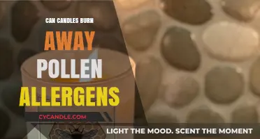 Can Candles Reduce Pollen Allergens in Your Home?