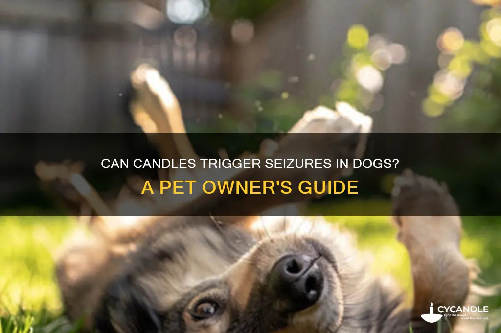 can candles cause dogs to have seizures