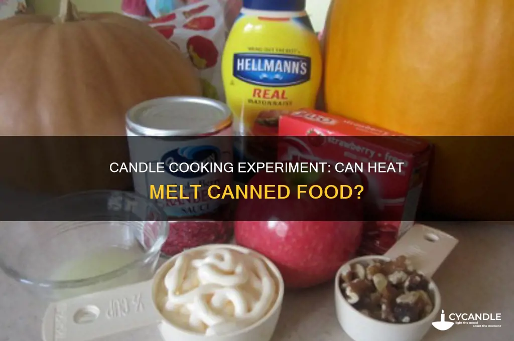can candles cook a can of food