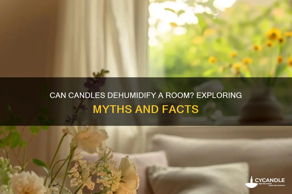 can candles dehumidify a room