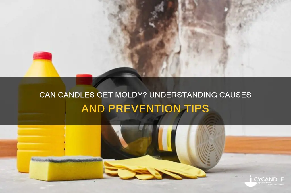 can candles get moldy