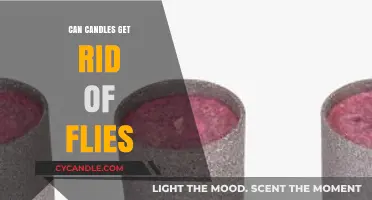 Candles as Fly Repellents: Do They Really Work?