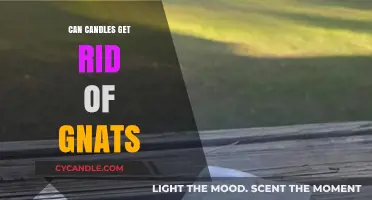 Candles vs. Gnats: Effective Solution or Just a Myth?