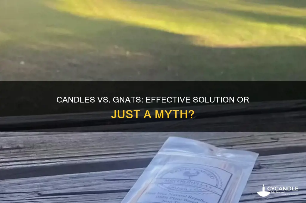 can candles get rid of gnats