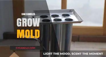 Can Candles Grow Mold? Uncovering the Truth and Prevention Tips