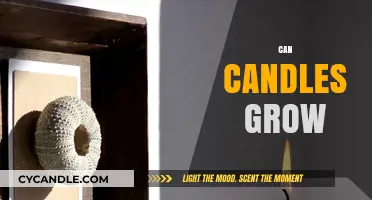 Can Candles Grow? Unveiling the Myth Behind Wax Expansion