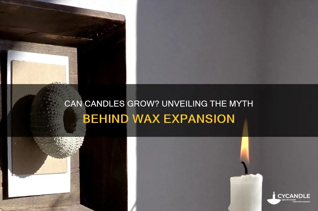 can candles grow