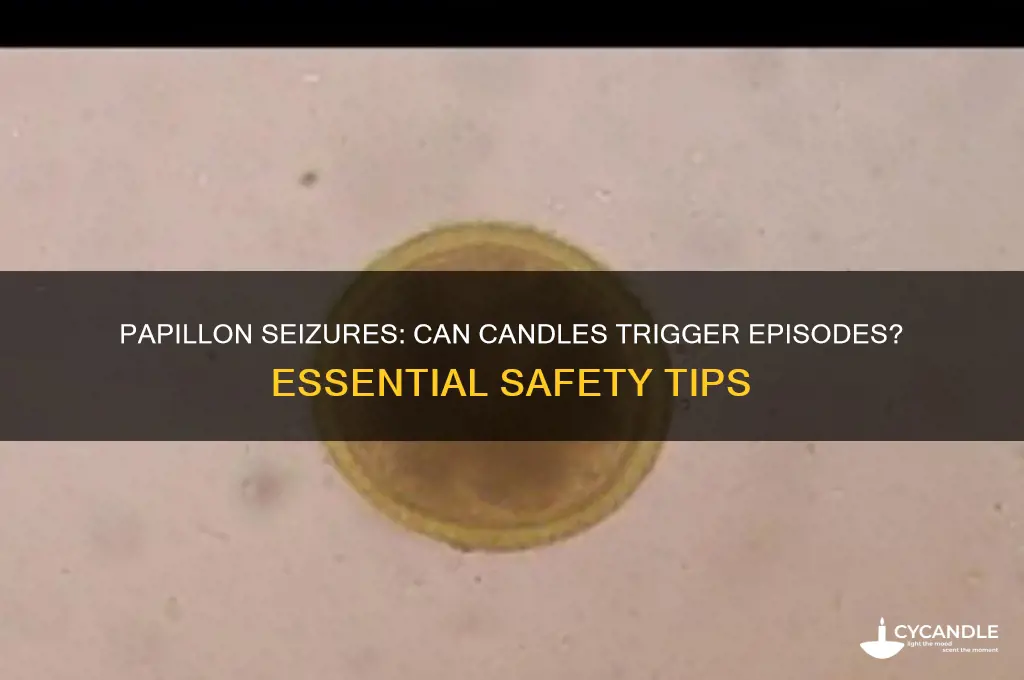can candles if a papillon has a seizure