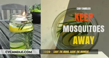 Candles vs. Mosquitoes: Do They Really Keep Bugs at Bay?