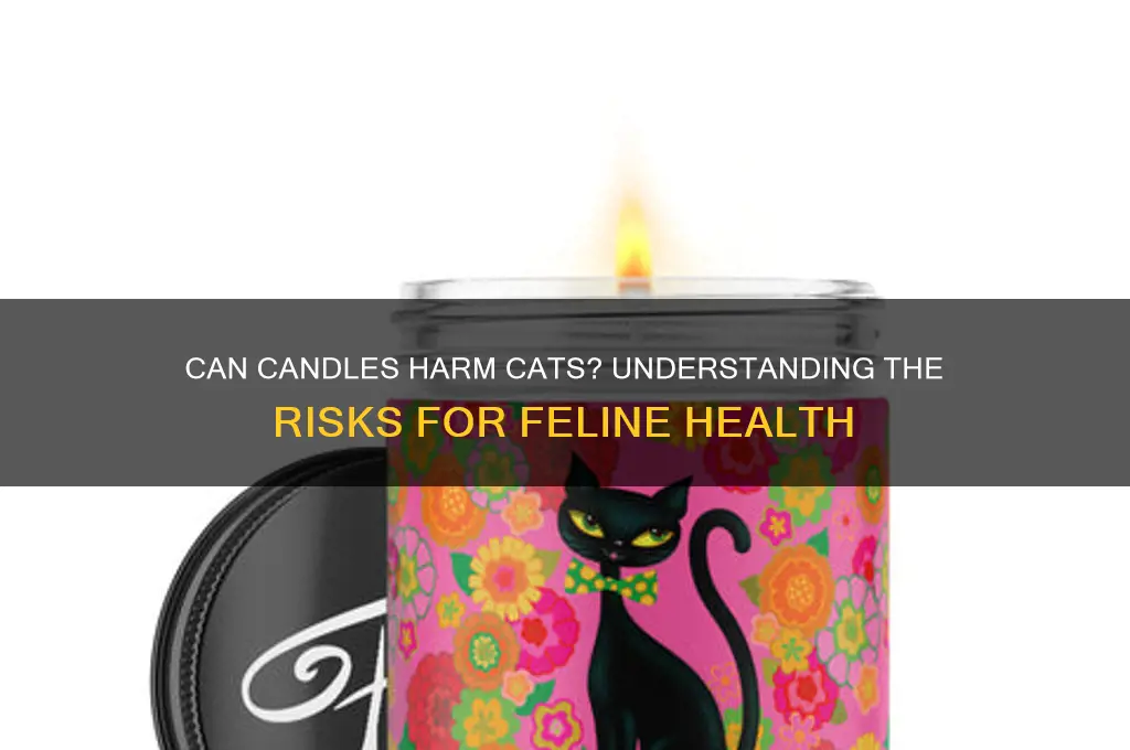 can candles make cats sick