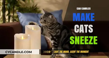 Can Candles Trigger Cat Sneezes? Exploring Feline Sensitivities to Scents