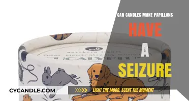 Candles and Papillons: Uncovering the Seizure Risk Connection