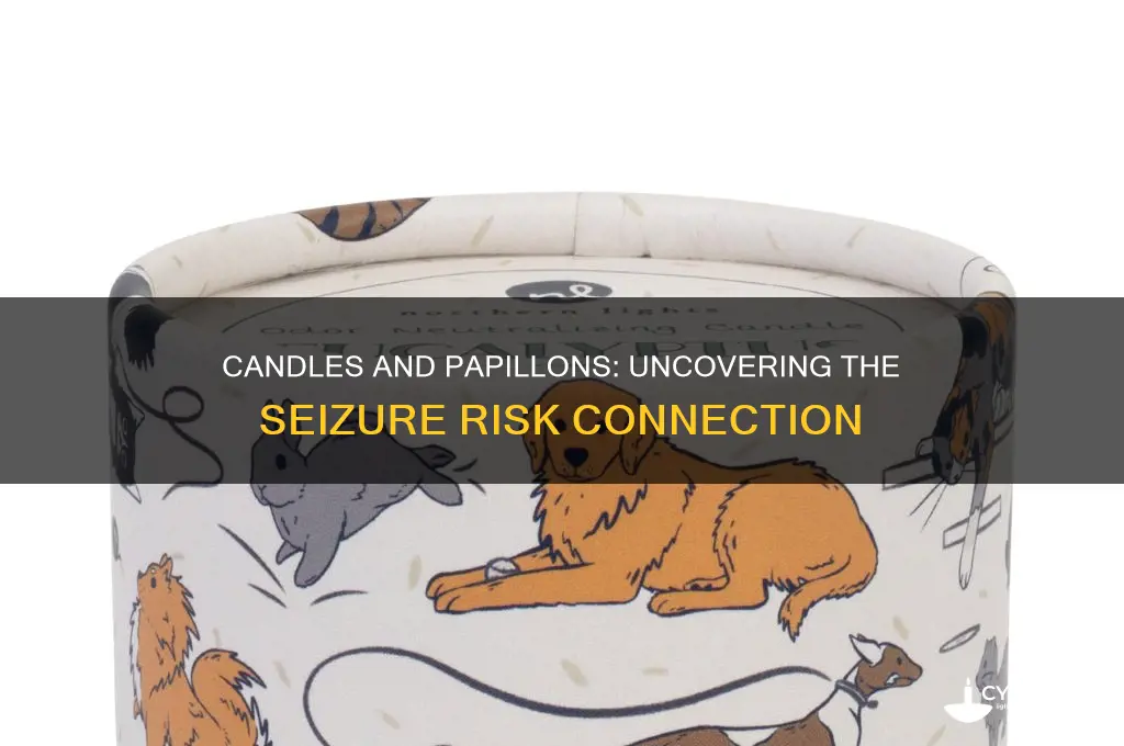 can candles make papillons have a seizure