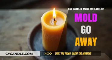 Can Candles Eliminate Mold Smell? Exploring Aromatic Solutions for Musty Odors