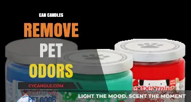 Do Candles Eliminate Pet Odors? A Comprehensive Guide for Pet Owners