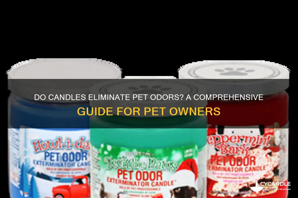 can candles remove pet odors