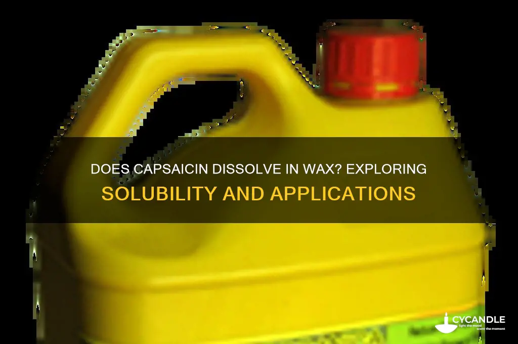 can capsaicin desolve in wax