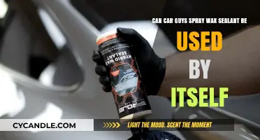 Using Car Guys Spray Wax Sealant as a Standalone Product: Is It Effective?