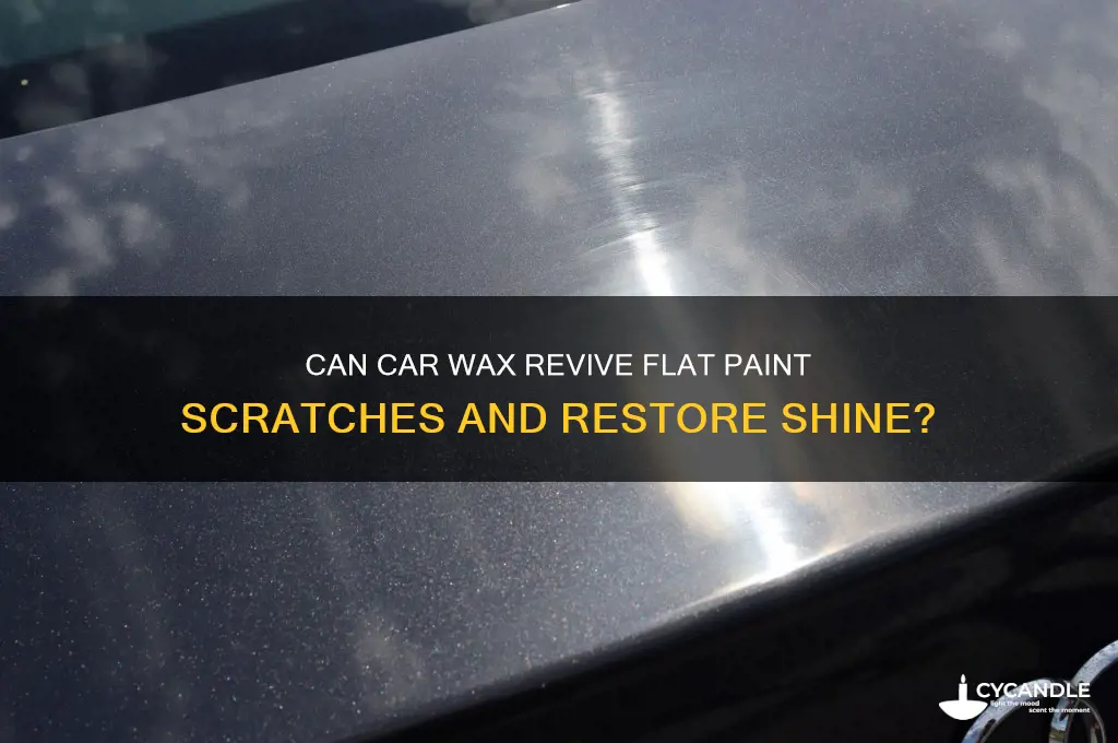 can car wax make flat paint scratch touch up shine