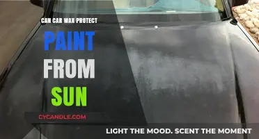 Does Car Wax Shield Your Paint from Sun Damage?