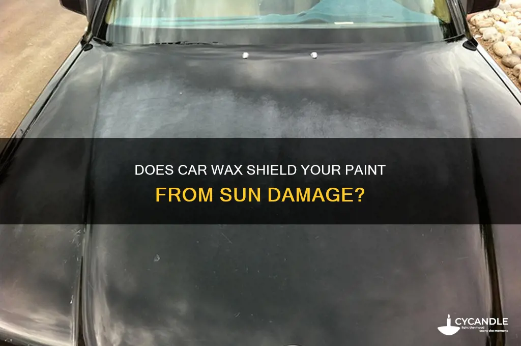 can car wax protect paint from sun