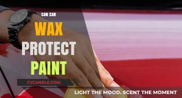 The Protective Power of Car Wax: Safeguarding Your Vehicle's Paint
