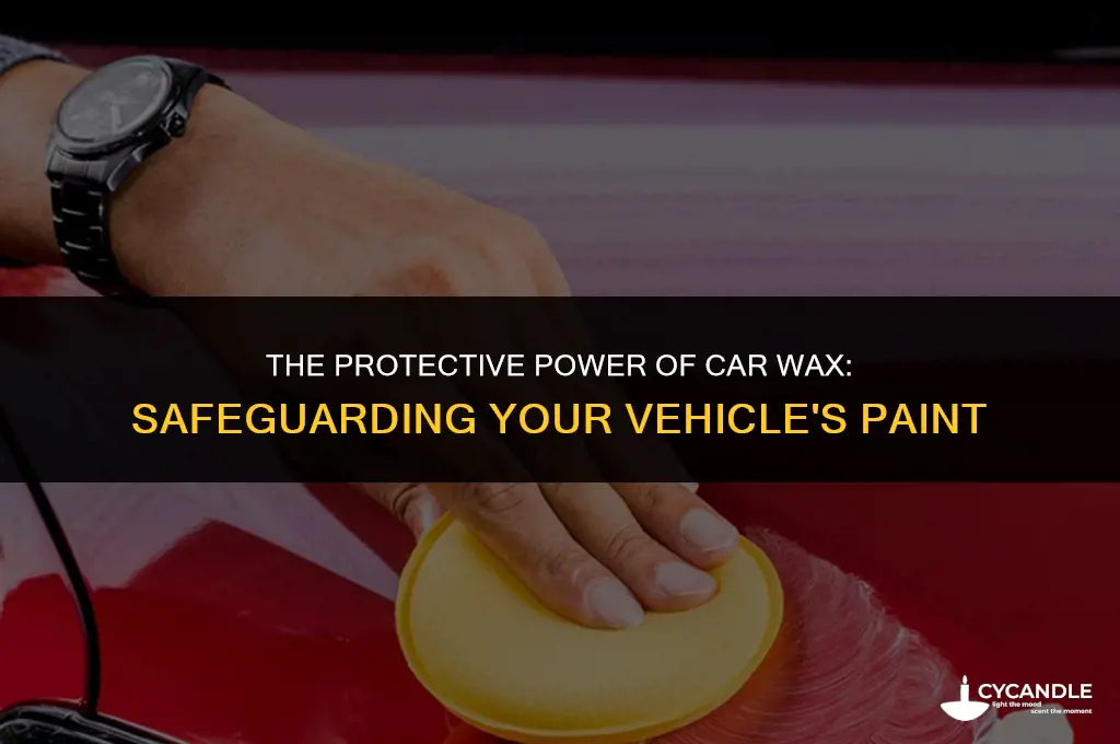 can car wax protect paint