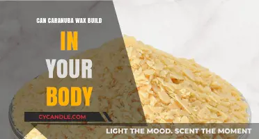Can Carnauba Wax Accumulate in Your Body? Facts and Myths