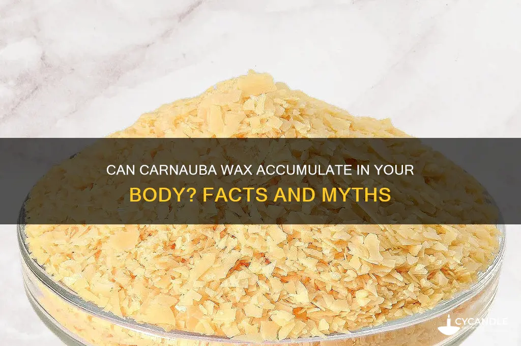 can caranuba wax build in your body
