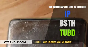 Using Carnauba Wax to Repair Scratched iPod Bath Tub Surfaces