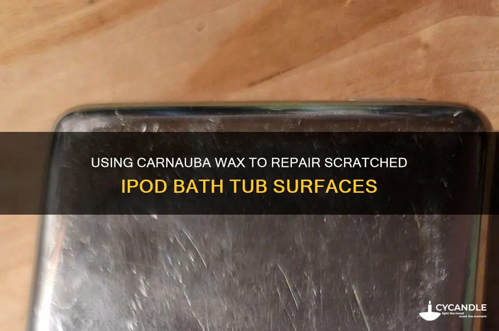 can carnauba wax be used on scratched ip bsth tubd