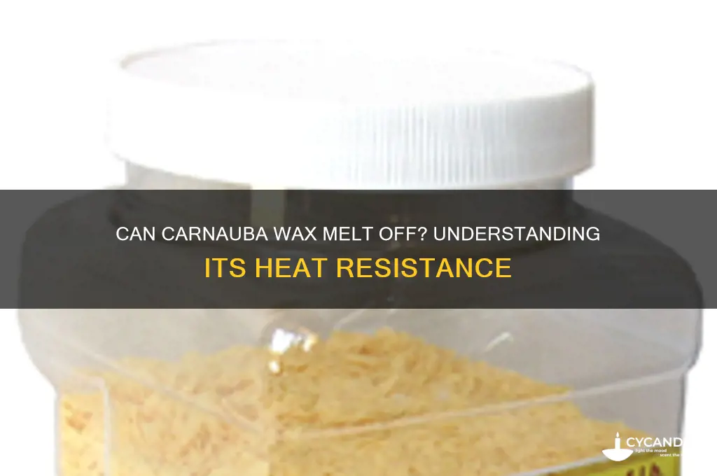 can carnauba wax melt off