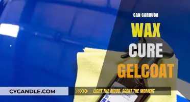 Can Carnuba Wax Restore and Protect Gelcoat Surfaces Effectively?