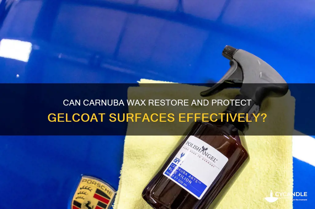 can carnuba wax cure gelcoat