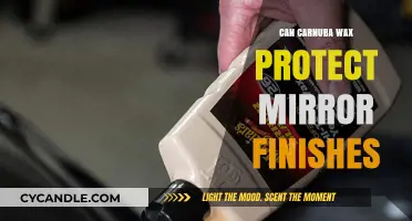 Carnuba Wax: Ultimate Shield for Mirror Finishes?