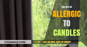 Can Cats Be Allergic to Candles? Uncovering the Truth