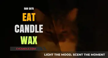 Can Cats Safely Eat Candle Wax? Risks and Precautions Explained
