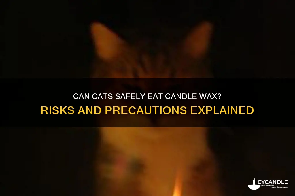 can cats eat candle wax