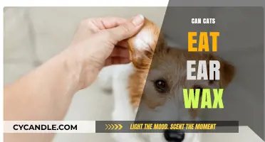 Can Cats Safely Eat Ear Wax? Surprising Facts Revealed