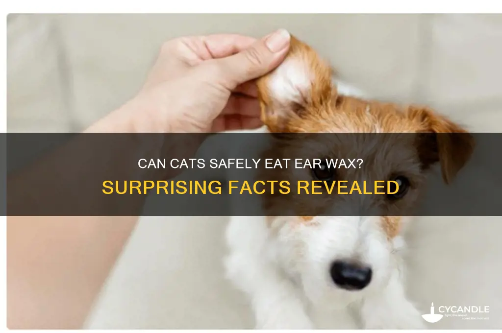 can cats eat ear wax