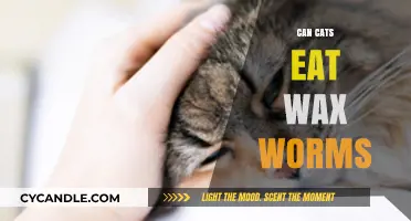 Can Cats Safely Eat Wax Worms? A Complete Guide for Owners