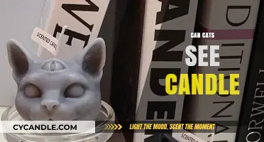 Can Cats See Candle Flames? Unveiling Feline Vision Mysteries