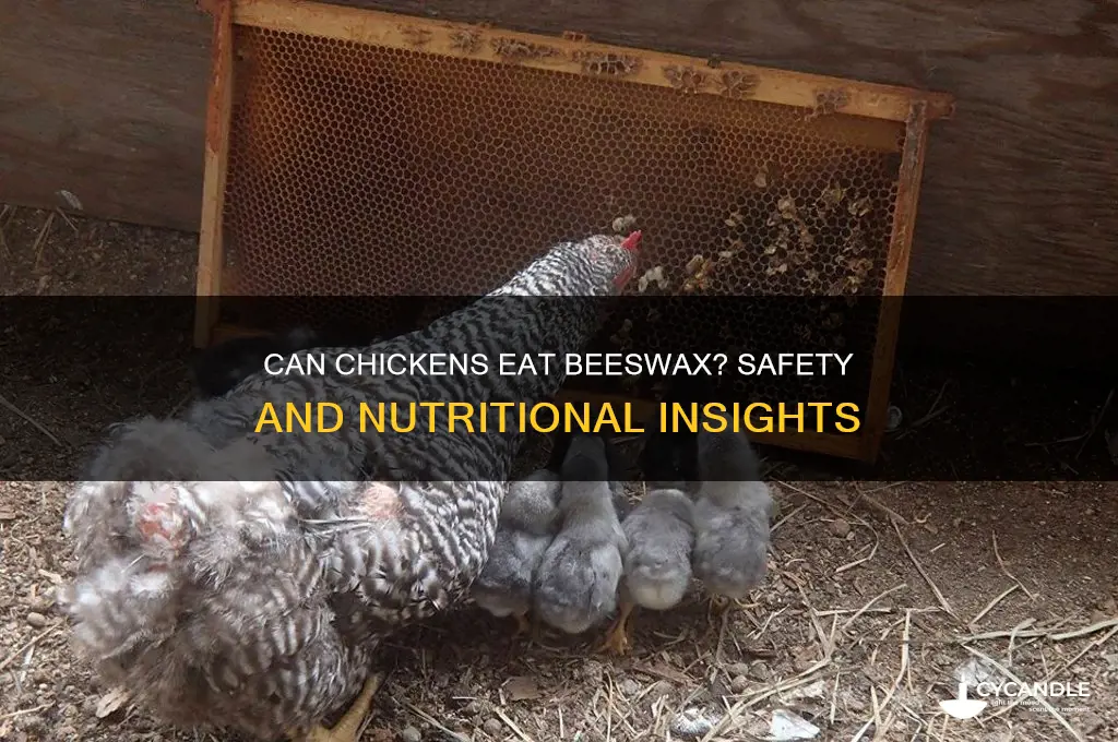 can chickens eat beeswax