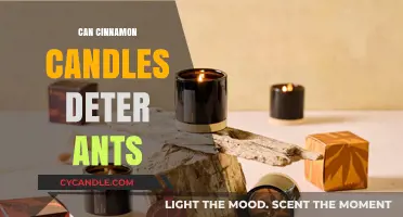 Cinnamon Candles: A Natural Ant Deterrent or Myth?