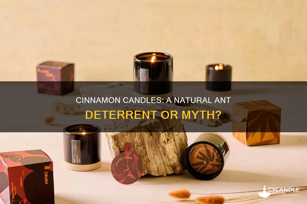 can cinnamon candles deter ants
