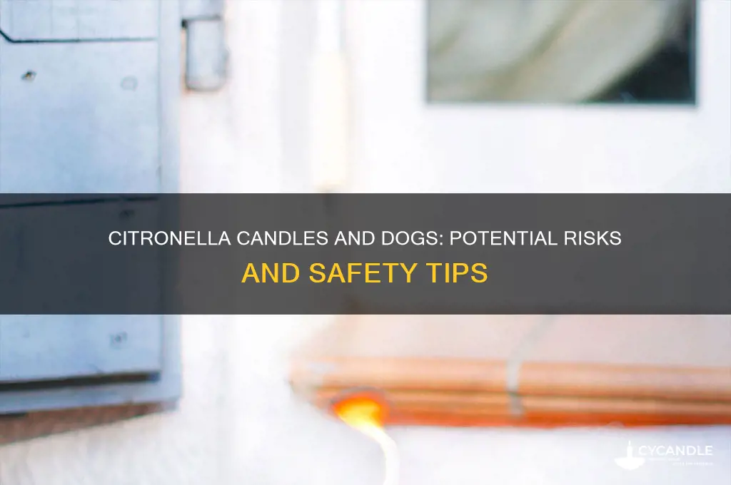 can citronella candles harm dogs