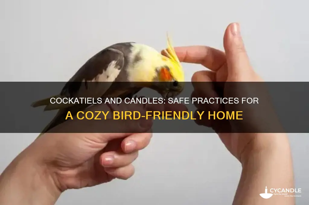 can cockatiels be around candles